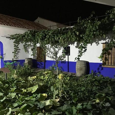 Casa Rural Manchega La Alameda de Cervera 外观 照片