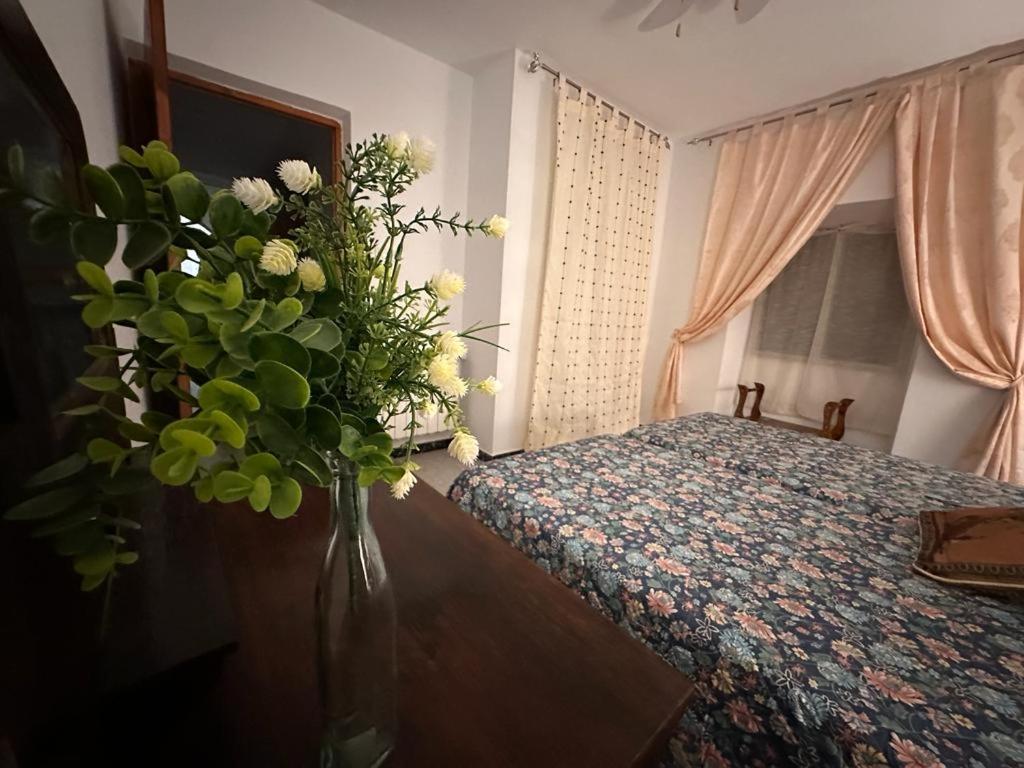 Casa Rural Manchega La Alameda de Cervera 外观 照片