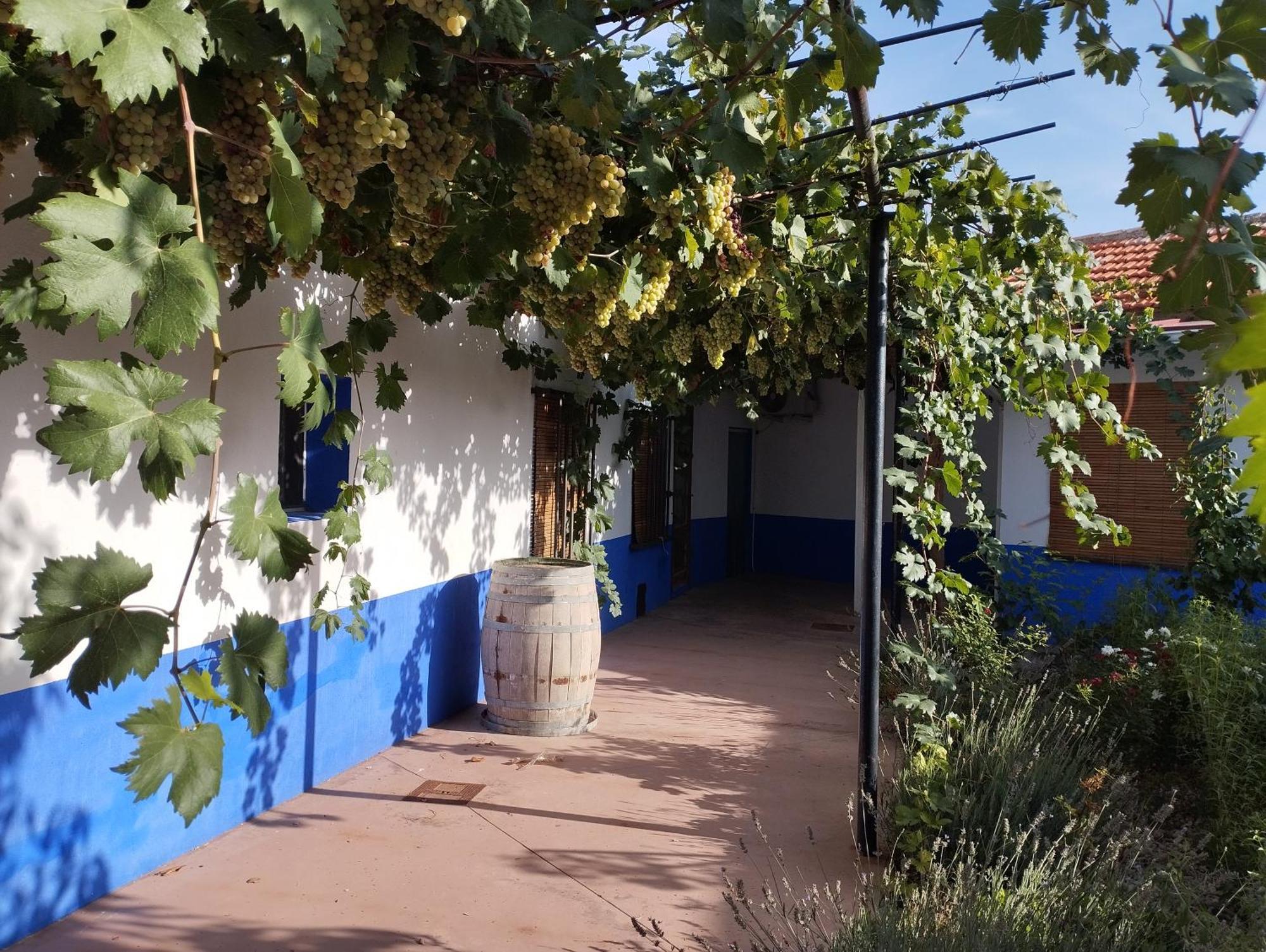Casa Rural Manchega La Alameda de Cervera 外观 照片